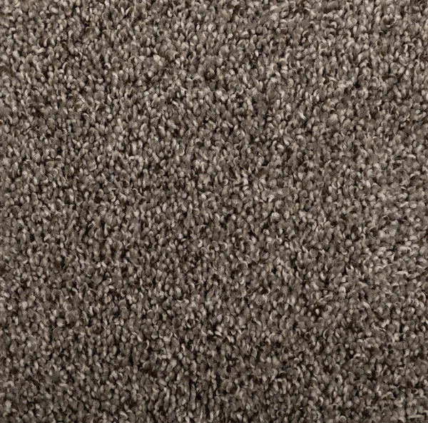 Flooring² Momentum - Monaco — Broadloom Carpet flooring selection with LeviArs Design & Remodeling
