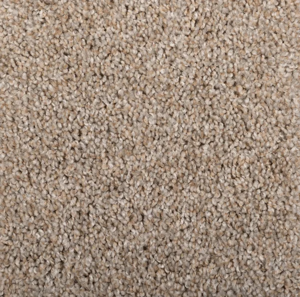 Flooring² Momentum - Rhinestone — Broadloom Carpet flooring selection with LeviArs Design & Remodeling