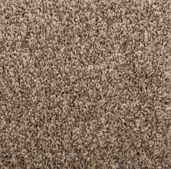 Flooring² Momentum - Sienna Sand — Broadloom Carpet flooring selection with LeviArs Design & Remodeling