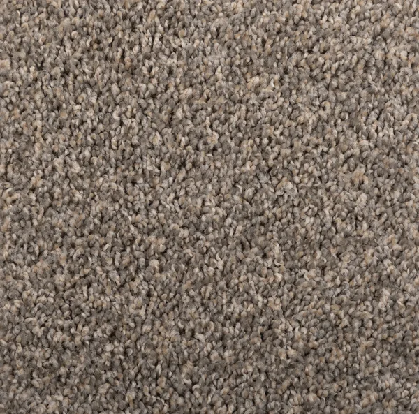 Flooring² Momentum - Smooth Sailing — Broadloom Carpet flooring selection with LeviArs Design & Remodeling