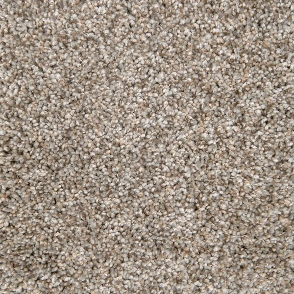 Flooring² Monarch - Iron Frost — Broadloom Carpet flooring selection with LeviArs Design & Remodeling