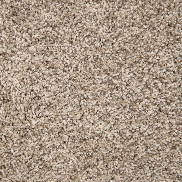 Flooring² Monarch - Linen — Broadloom Carpet flooring selection with LeviArs Design & Remodeling