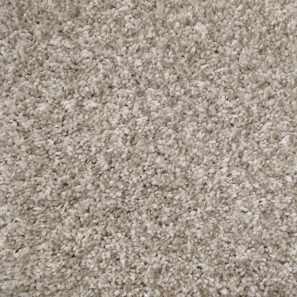 Flooring² Monarch - Porcelain — Broadloom Carpet flooring selection with LeviArs Design & Remodeling
