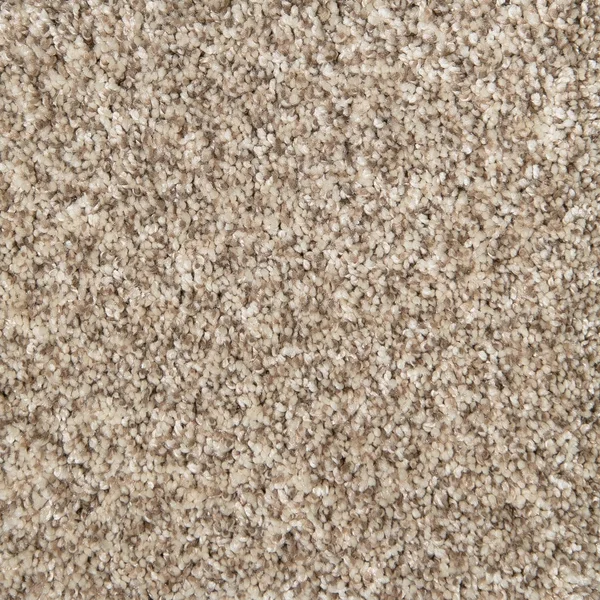 Flooring² Monarch - Seashells — Broadloom Carpet flooring selection with LeviArs Design & Remodeling