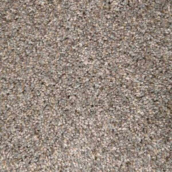 Flooring² Monarch - Shadows — Broadloom Carpet flooring selection with LeviArs Design & Remodeling