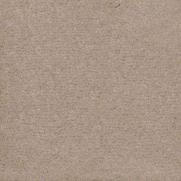 Flooring² Mystical - Beach Sand — Broadloom Carpet flooring selection with LeviArs Design & Remodeling