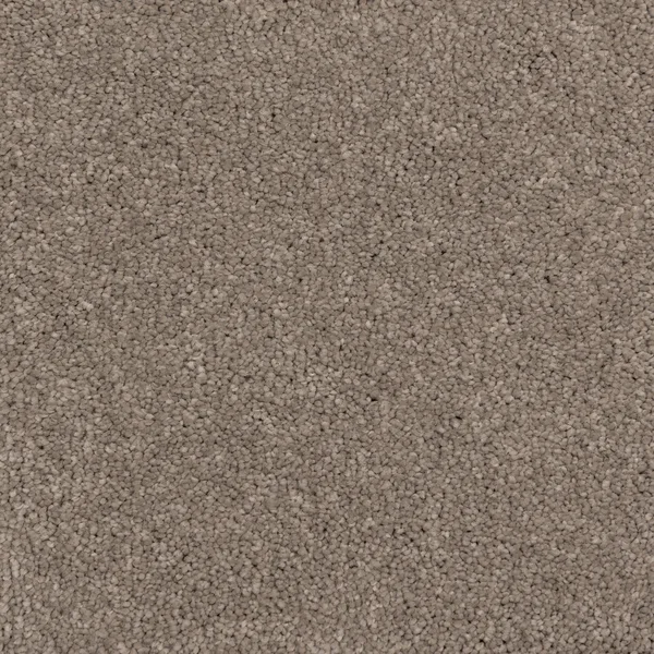 Flooring² Mystical - Glacier — Broadloom Carpet flooring selection with LeviArs Design & Remodeling