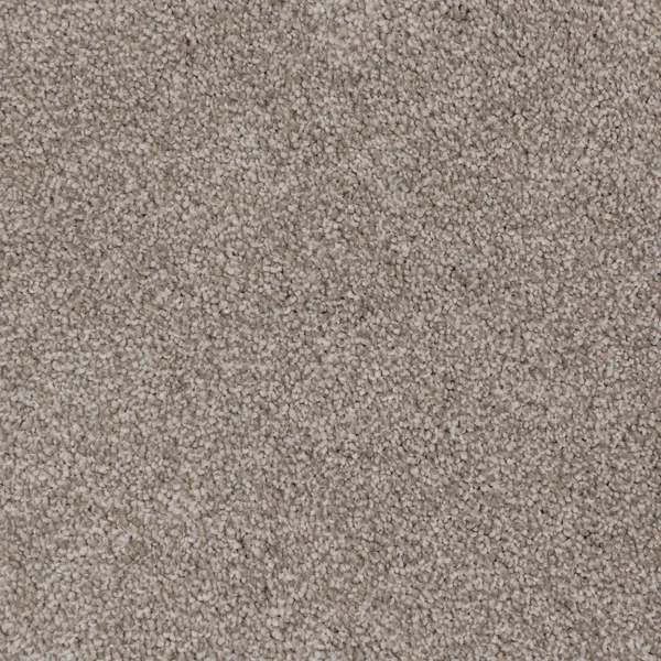Flooring² Mystical - Pearl River — Broadloom Carpet flooring selection with LeviArs Design & Remodeling