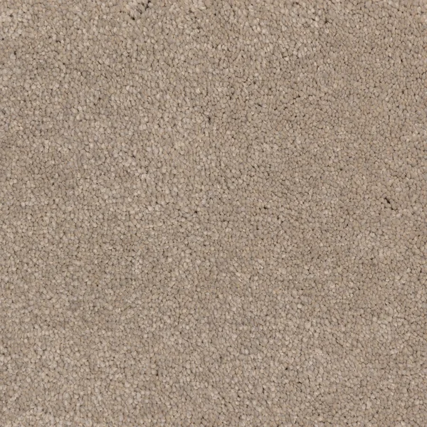 Flooring² Mystical - Rocky Shore — Broadloom Carpet flooring selection with LeviArs Design & Remodeling