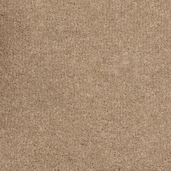 Flooring² Mystical - Westwood — Broadloom Carpet flooring selection with LeviArs Design & Remodeling