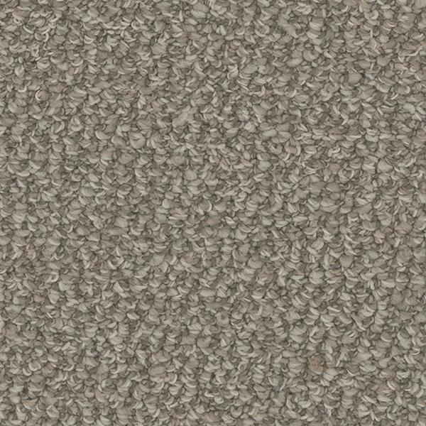 Flooring² Nomad - Cactus — Broadloom Carpet flooring selection with LeviArs Design & Remodeling