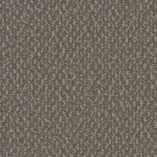 Flooring² Nomad - Molasses — Broadloom Carpet flooring selection with LeviArs Design & Remodeling