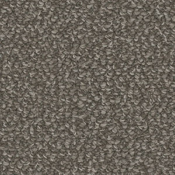 Flooring² Nomad - Panther — Broadloom Carpet flooring selection with LeviArs Design & Remodeling
