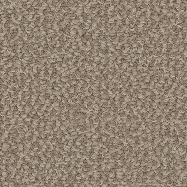Flooring² Nomad - Pebble Hill — Broadloom Carpet flooring selection with LeviArs Design & Remodeling