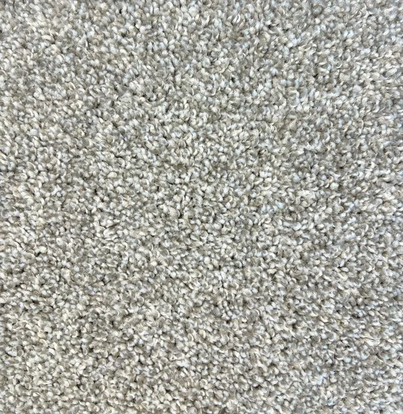 Flooring² Northstar - Brushed Silver — Broadloom Carpet flooring selection with LeviArs Design & Remodeling