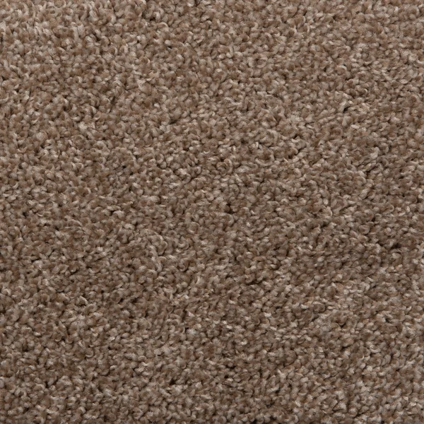 Flooring² Northstar - Cookies & Cream — Broadloom Carpet flooring selection with LeviArs Design & Remodeling