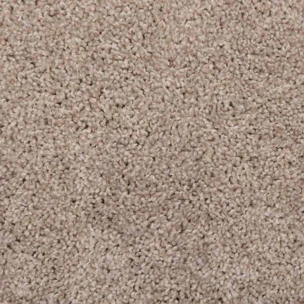 Flooring² Northstar - French Vanilla — Broadloom Carpet flooring selection with LeviArs Design & Remodeling