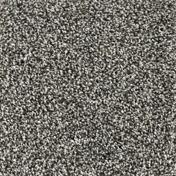 Flooring² Northstar - Iron Ore — Broadloom Carpet flooring selection with LeviArs Design & Remodeling