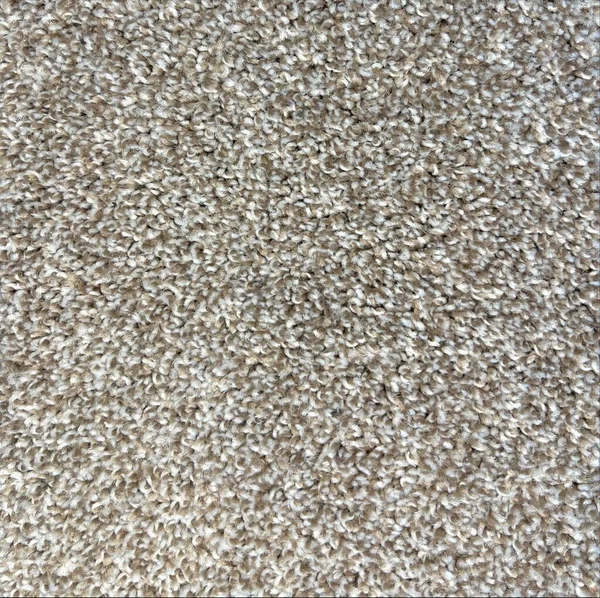 Flooring² Northstar - Praline — Broadloom Carpet flooring selection with LeviArs Design & Remodeling
