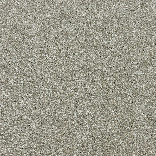 Flooring² Paramount - Highland — Broadloom Carpet flooring selection with LeviArs Design & Remodeling