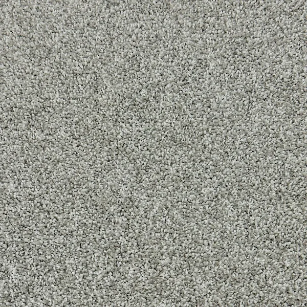 Flooring² Paramount - Stoney Peak — Broadloom Carpet flooring selection with LeviArs Design & Remodeling