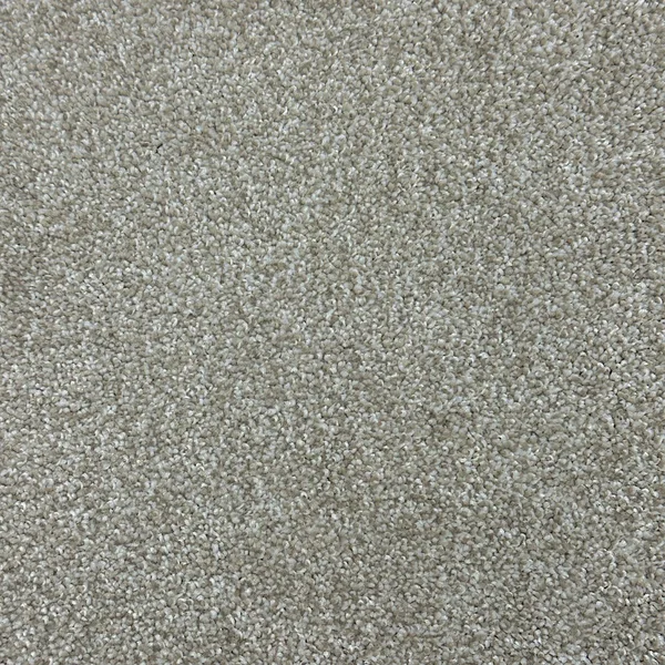 Flooring² Paramount - Super Natural — Broadloom Carpet flooring selection with LeviArs Design & Remodeling