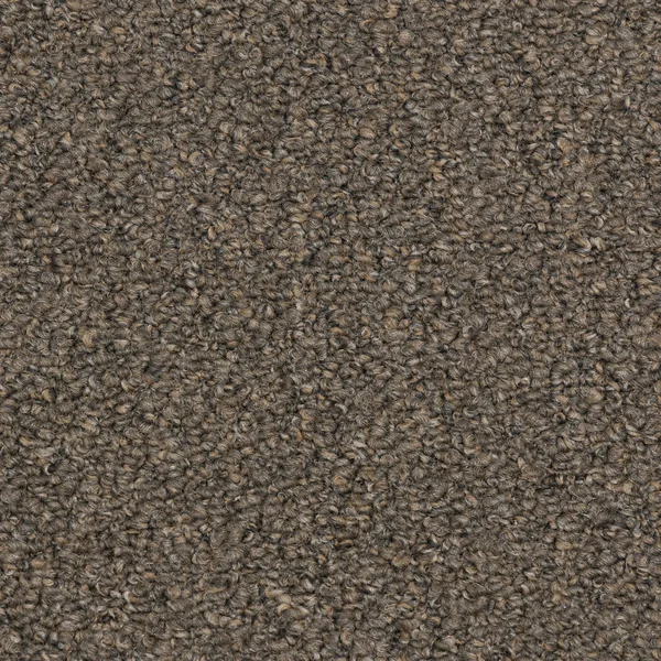 Flooring² Performer II - Birch Grey — Broadloom Carpet flooring selection with LeviArs Design & Remodeling