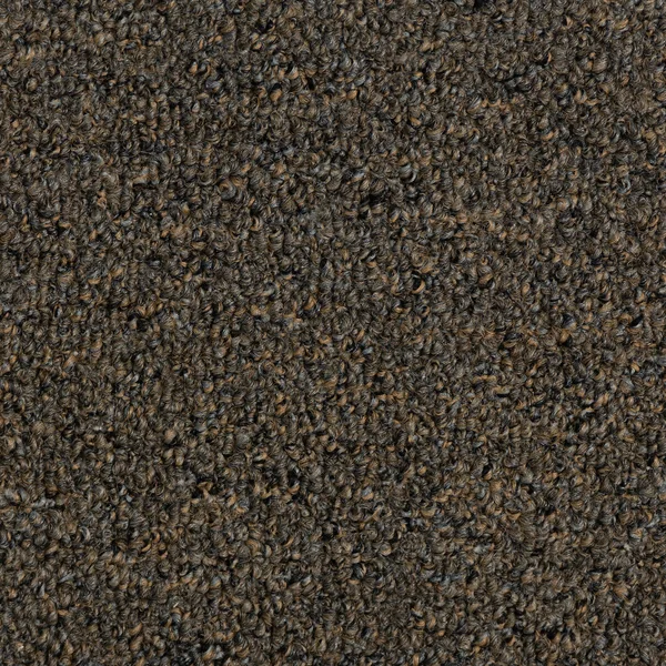 Flooring² Performer II - Camel — Broadloom Carpet flooring selection with LeviArs Design & Remodeling