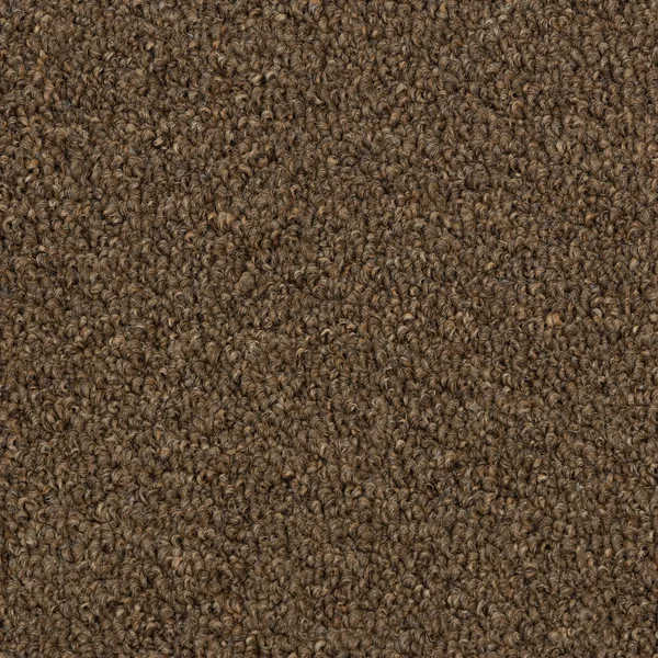Flooring² Performer II - Sienna — Broadloom Carpet flooring selection with LeviArs Design & Remodeling