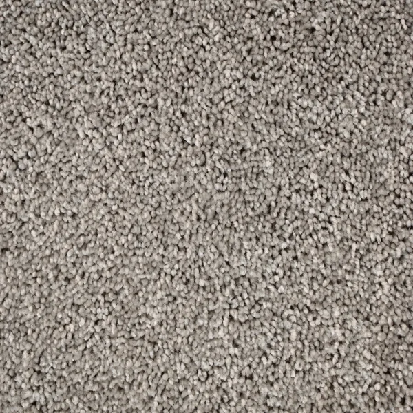 Flooring² Presidential Solid - Shifting Sands — Broadloom Carpet flooring selection with LeviArs Design & Remodeling
