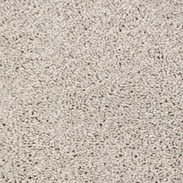 Flooring² Presidential Solid - Sugar Cookie — Broadloom Carpet flooring selection with LeviArs Design & Remodeling