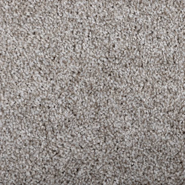 Flooring² Presidential Tonal - Ecru — Broadloom Carpet flooring selection with LeviArs Design & Remodeling