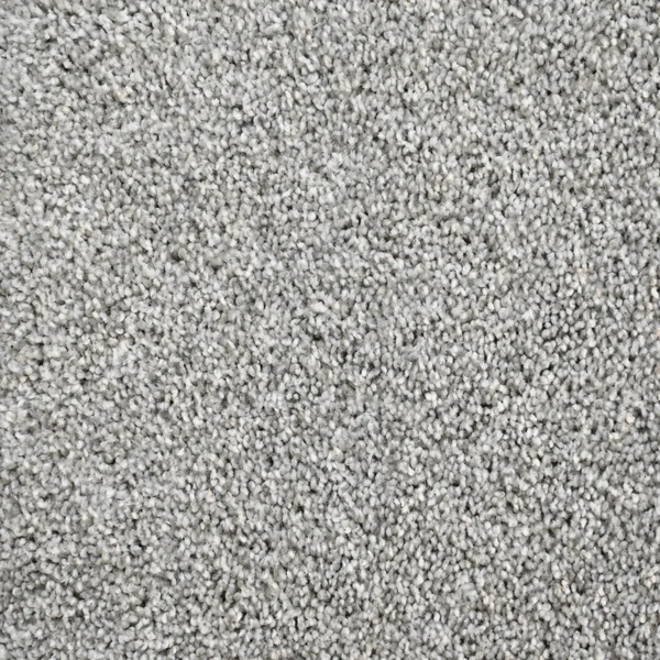 Flooring² Presidential Tonal - Fog — Broadloom Carpet flooring selection with LeviArs Design & Remodeling