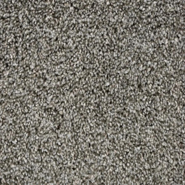 Flooring² Presidential Tonal - Pebble Creek — Broadloom Carpet flooring selection with LeviArs Design & Remodeling