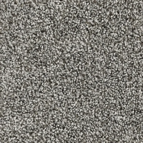 Flooring² Presidential Tonal - Shadow — Broadloom Carpet flooring selection with LeviArs Design & Remodeling