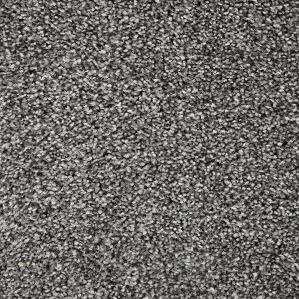 Flooring² Presidential Tonal - Walking Trail — Broadloom Carpet flooring selection with LeviArs Design & Remodeling