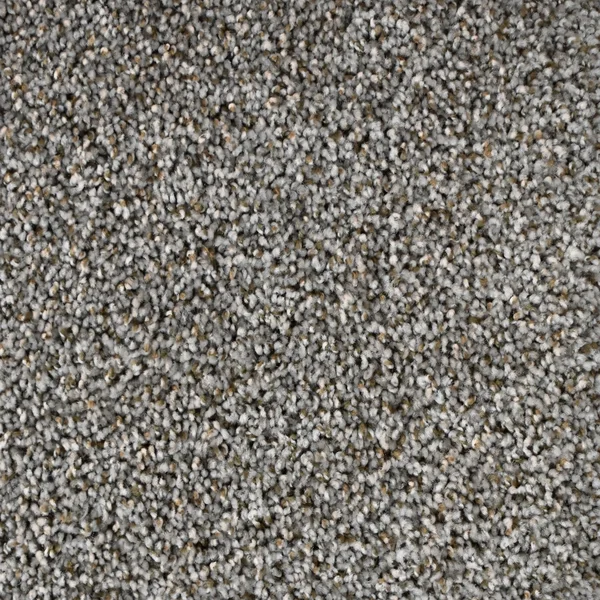 Flooring² Presidential Tweed - Granite — Broadloom Carpet flooring selection with LeviArs Design & Remodeling