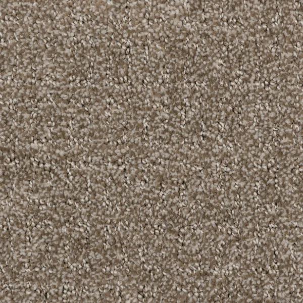 Flooring² Refined - Simply Tan — Broadloom Carpet flooring selection with LeviArs Design & Remodeling