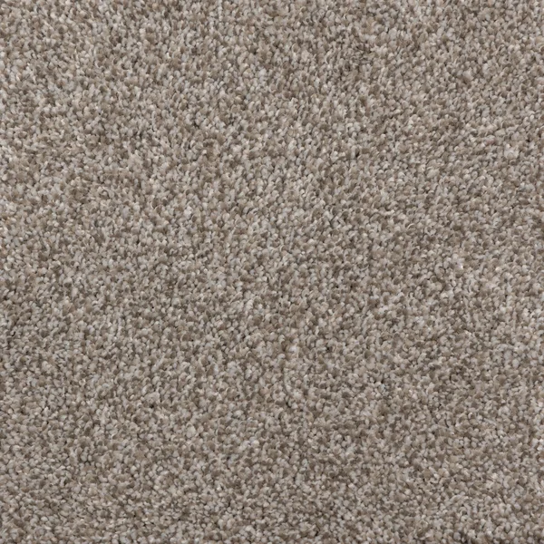 Flooring² Rendition - Cascade — Broadloom Carpet flooring selection with LeviArs Design & Remodeling