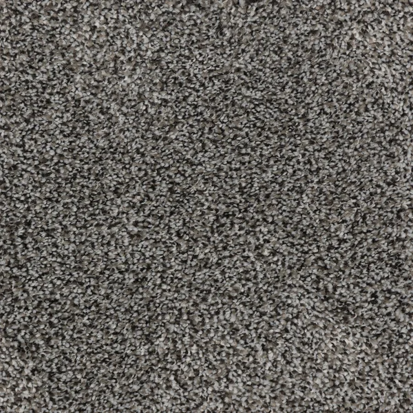 Flooring² Rendition - Gondola — Broadloom Carpet flooring selection with LeviArs Design & Remodeling