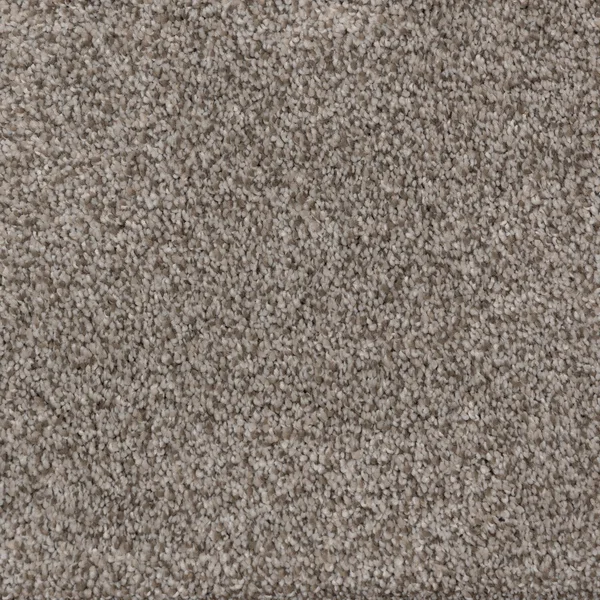 Flooring² Rendition - Olympia — Broadloom Carpet flooring selection with LeviArs Design & Remodeling