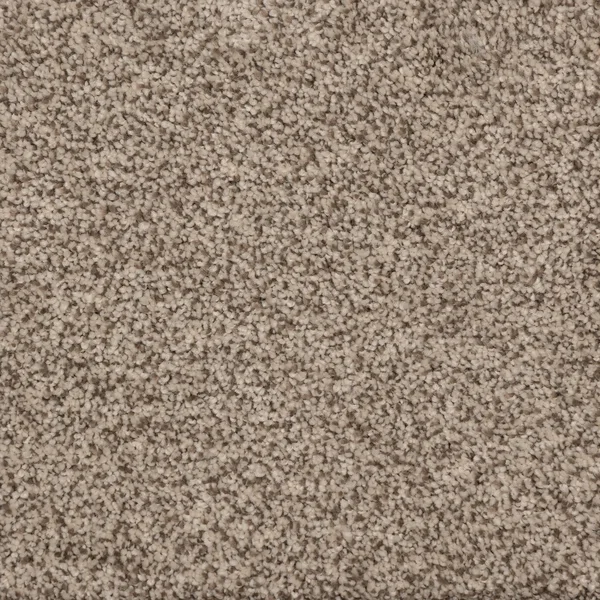Flooring² Rendition - Tacoma — Broadloom Carpet flooring selection with LeviArs Design & Remodeling