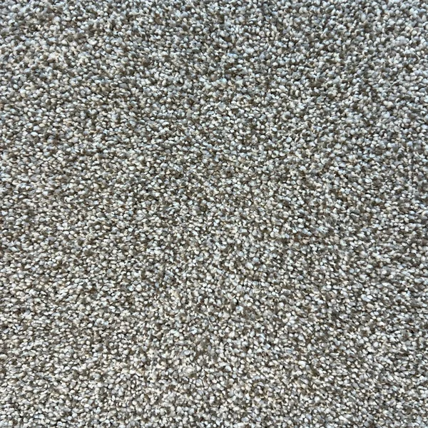 Flooring² Rendition - Vista — Broadloom Carpet flooring selection with LeviArs Design & Remodeling