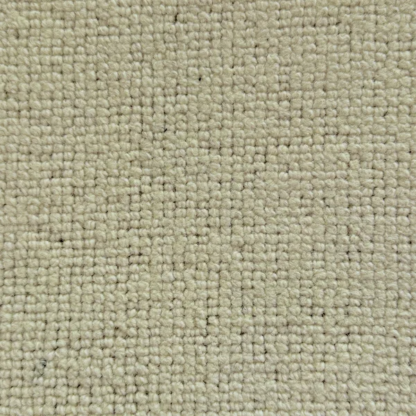 Flooring² Sophisticated Fleece - Cloud Weave — Broadloom Carpet flooring selection with LeviArs Design & Remodeling