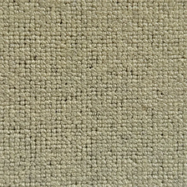 Flooring² Sophisticated Fleece - Hethered Moss — Broadloom Carpet flooring selection with LeviArs Design & Remodeling