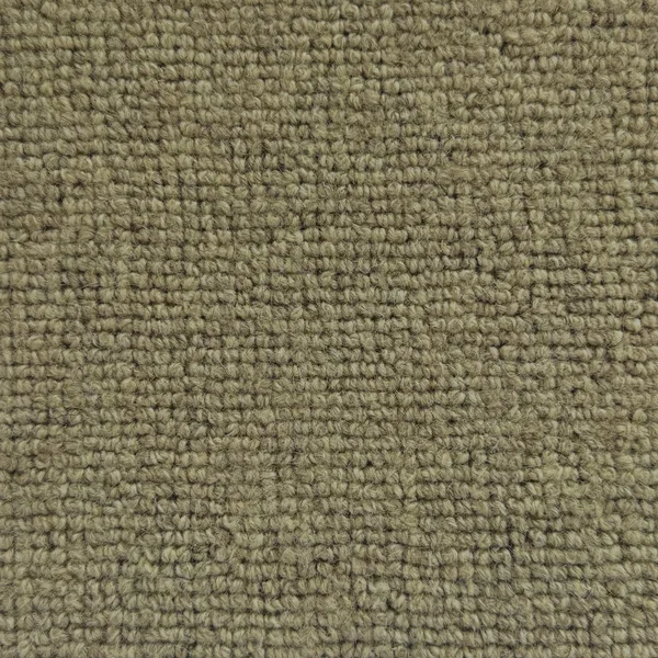 Flooring² Sophisticated Fleece - Timber Brown — Broadloom Carpet flooring selection with LeviArs Design & Remodeling