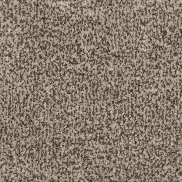 Flooring² Spirited - Opulence — Broadloom Carpet flooring selection with LeviArs Design & Remodeling