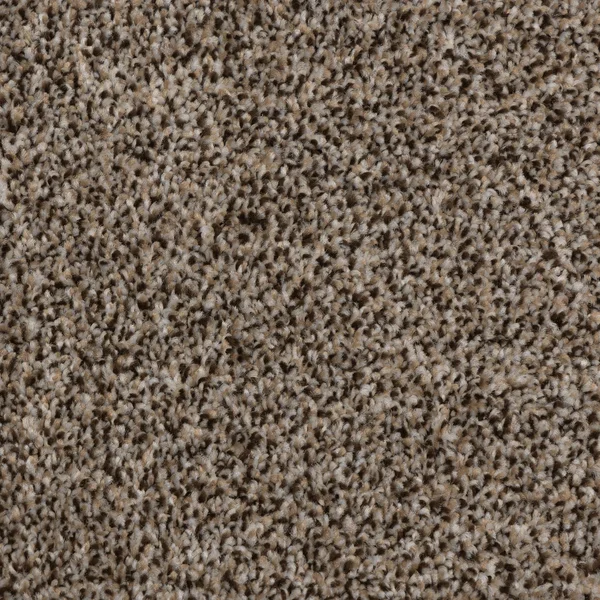 Flooring² Spirited - Palisade — Broadloom Carpet flooring selection with LeviArs Design & Remodeling