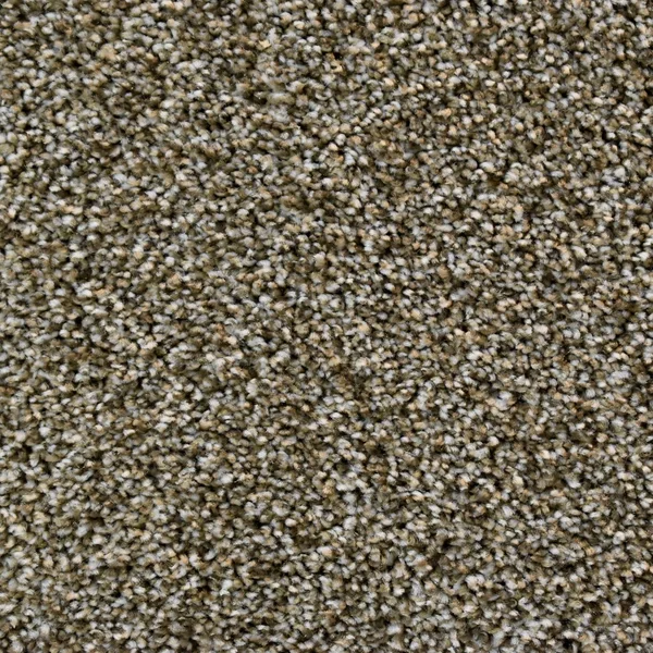 Flooring² Spirited - Quiet Neutral — Broadloom Carpet flooring selection with LeviArs Design & Remodeling