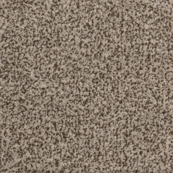 Flooring² Spirited - Solitude — Broadloom Carpet flooring selection with LeviArs Design & Remodeling